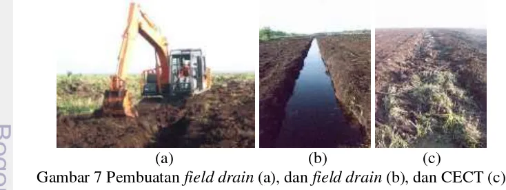 Gambar 7 Pembuatan field drain (a), dan field drain (b), dan CECT (c) 
