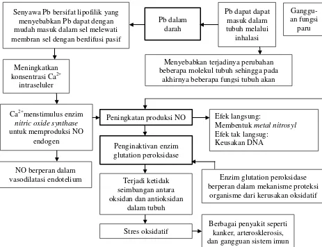 Gambar 10 Kerangka teori hubungan glutation peroksidase dengan nitric oxide dalam darah operator SPBU di Semarang 