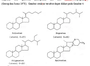 Gambar 4. Struktur inti kolestan, stigmastan dan spirostan (Gorog dan Szas 1978). 