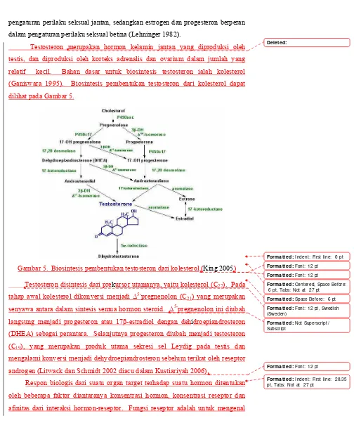 Gambar 5.  Biosintesis pembentukan testosteron dari kolesterol (King 2005) 