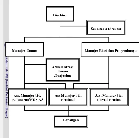 Gambar 4. Struktur Organisasi TAMAN SYIFA 