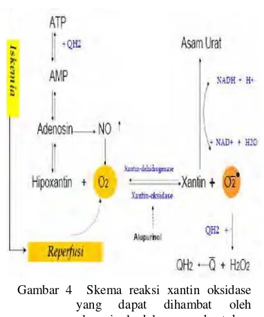 Gambar 5  Struktur umum senyawa