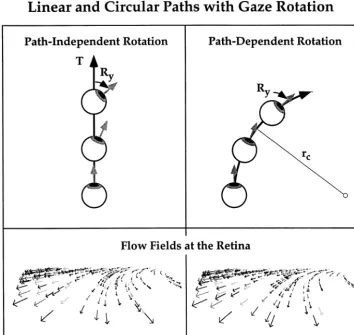 Fig. 1. Linear and circular self-motion paths with gaze rotation. The upper panels schematise two forms of self-motion