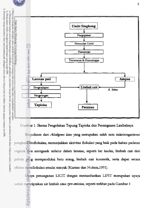 Gambar 1. Skerna Pengolahan Tepung Tapioka dan Penanganan Limbahnya. 