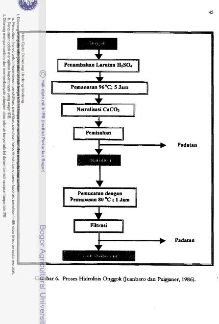 Gambar 6. Proses Hidrolisis Onggok (Juanbaro dan Puqganer, 1986). 