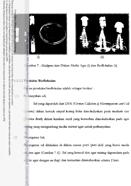 Gambar 7. Alc[d'etm ~ ~ I I S  Ddam [\i[cdia i\bnr 