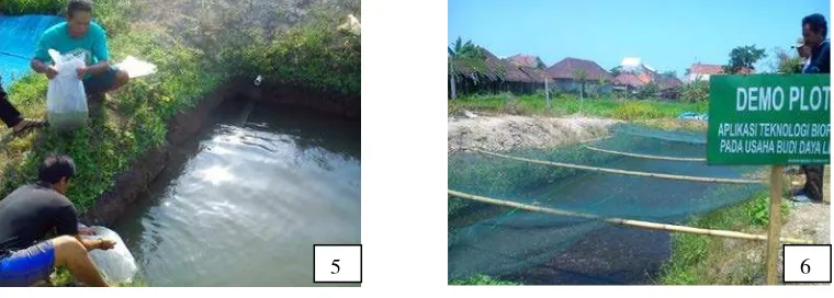 Gambar 1-2.  Penyuluhan dan pelatihan budidaya ikan lele sistem bioflok, serta pembuatan bahan dasar kolam ikan lele menggunakan pupuk biorganik
