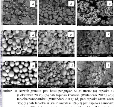 Gambar 10 Bentuk granula pati hasil pengujian SEM untuk (a) tapioka alami (Loksuwan 2006); (b) pati tapioka kristalin (Wulandari 2013); (c) pati tapioka nanopartikel (Wulandari 2013); (d) pati tapioka alami asetilasi 3%; (e) pati tapioka kristalin asetilas