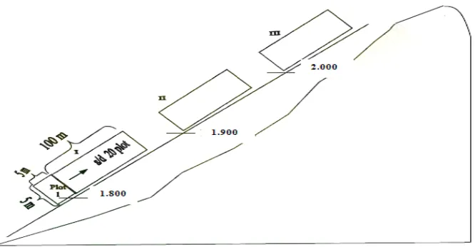 Gambar 2 : Jalur dan Plot Pengamatan