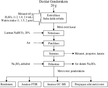 Gambar 4 Diagram alir proses produksi metil ester gondorukem