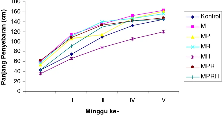 Gambar 3. Grafik Rata-Rata Pertambahan Panjang Penyebaran Centrosema pubescens Benth. Panen I dan II  Pada Tanah Latosol  