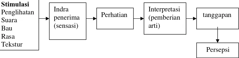 Gambar 2. Proses pembentukan persepsi berdasarkan model Solomon  (Sutisna,   1999) 