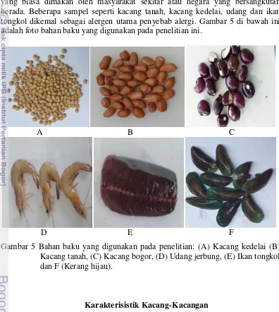 Gambar 5 Bahan baku yang digunakan pada penelitian: (A) Kacang kedelai (B) 