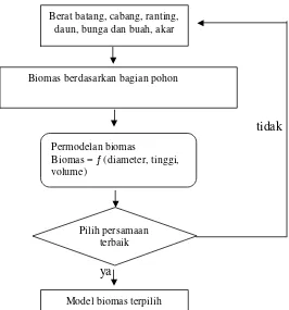 Gambar 7. Diagram Alir Pembuatan Model Biomas 
