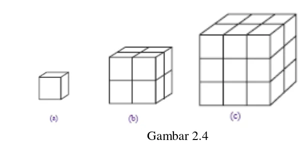 Gambar 2.4 Gambar di atas menunjukkan bentuk-bentuk kubus dengan ukuran berbeda. 