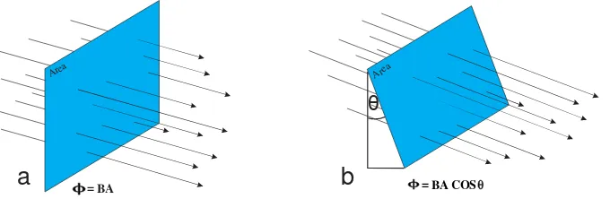 Gambar 2.4 (a) fluks magnet yang menembus bidang secara tegak lurus           (b) fluks magnet yang menembus bidang sebesar sudut θ  