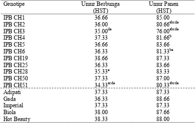 Tabel 6. Nilai Rataan Umur Berbunga dan Umur Panen Hibrida yang Dievaluasi dan Varietas Pembanding  