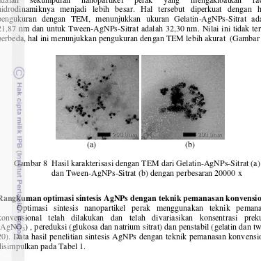 Tabel 1 Hasil sintesis nanopartikel perak dengan teknik pemanasan konvensional 