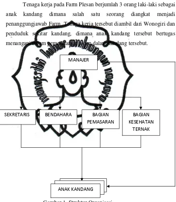 Gambar 1. Struktur Organisasi 