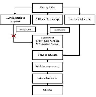 Gambar 1.1 Pengaruh Kurang Tidur terhadap Peningkatan Risiko Obesitas (Sumber : Garaulet, et al., 2011; Guyton & Hall, 2006) 