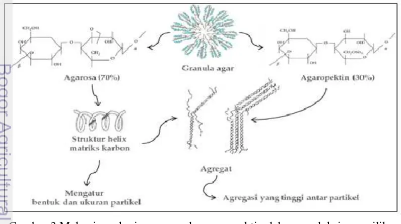 Gambar 3 Mekanisme kerja agarosa dan agaropektin dalam produksi nanosilika 