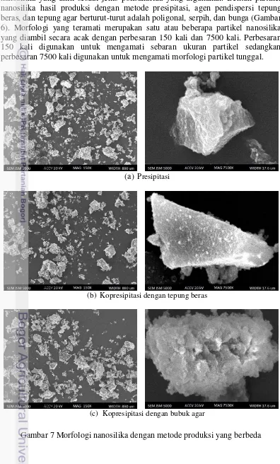 Gambar 7 Morfologi nanosilika dengan metode produksi yang berbeda 