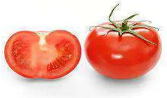 Gambar 1. Tomat 