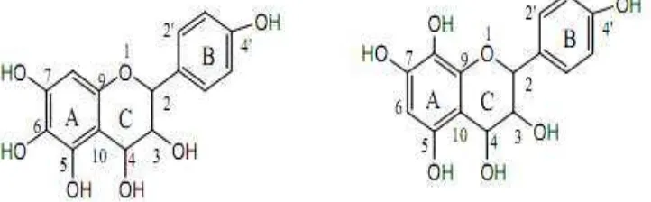 Gambar II.2 Struktur Senyawa flavonoid dalam kulit pisang kepok 