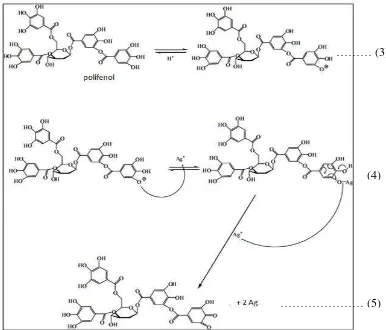 Gambar IV.3 Perkiraan Reaksi Dalam Sintesis Nanopartikel Perak oleh Polifenol 