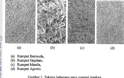 Gambar 2. Tekstur beberapa jenis nunput lanskap 