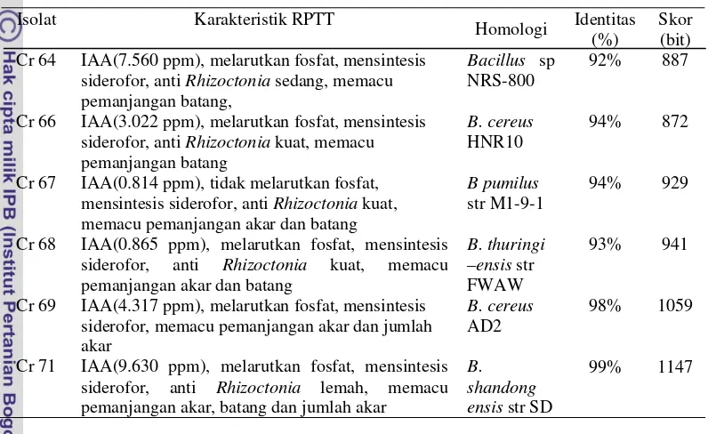 Tabel 4 Karakteristik PGPR isolat Bacillus sp. dan hasil analisis sekuen gen 16S rRNA 