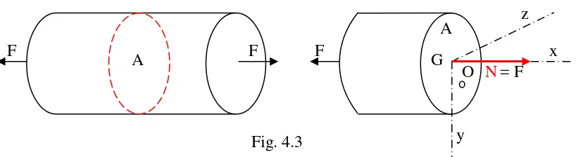 Fig. 4.3 