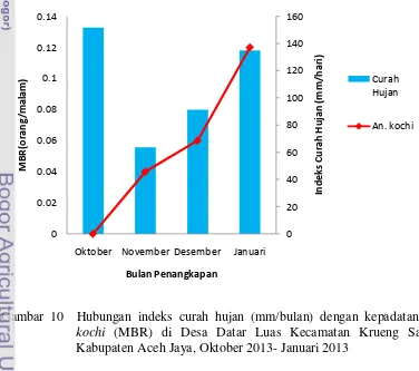 Gambar 10  Hubungan indeks curah hujan (mm/bulan) dengan kepadatan An. kochi (MBR) di Desa Datar Luas Kecamatan Krueng Sabee, Kabupaten Aceh Jaya, Oktober 2013- Januari 2013 