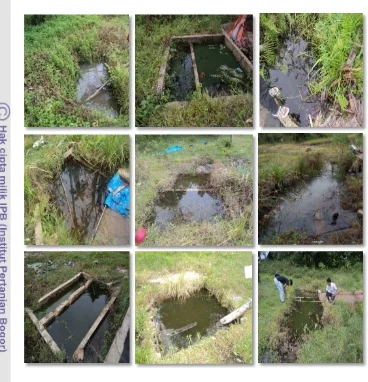 Gambar 11  Berbagai tipe kolam sebagai habitat perkembangbiakan An. letifer di 