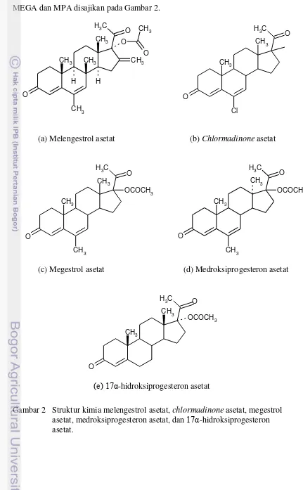 Gambar 2   Struktur kimia melengestrol asetat, chlormadinone asetat, megestrol  