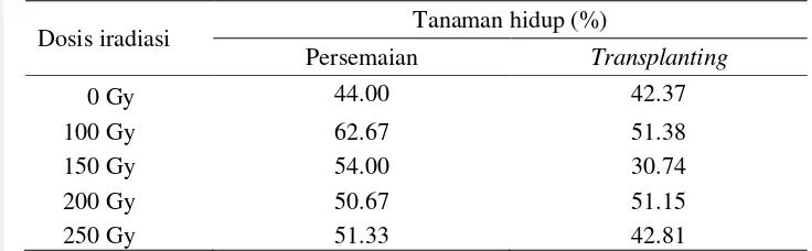 Tabel 1 Persentase tanaman hidup saat persemaian dan transplanting 