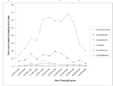 Gambar 10   Rata-Rata Nyamuk Anopheles spp. yang Tertangkap dengan Umpan