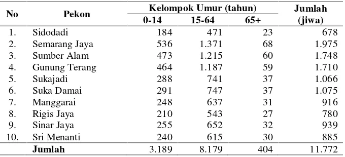 Tabel 6. Jumlah penduduk menurut kelompok umur per pekon diKecamatan Air Hitam pada tahun 2013