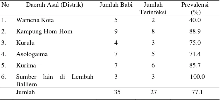 Tabel 1 Kejadian sistiserkosis pada babi yang disembelih dan dijual di Pasar Jibama  Kabupaten Jayawijaya Papua selama periode pengamatan (28 Juli – 18 Agustus 2007)