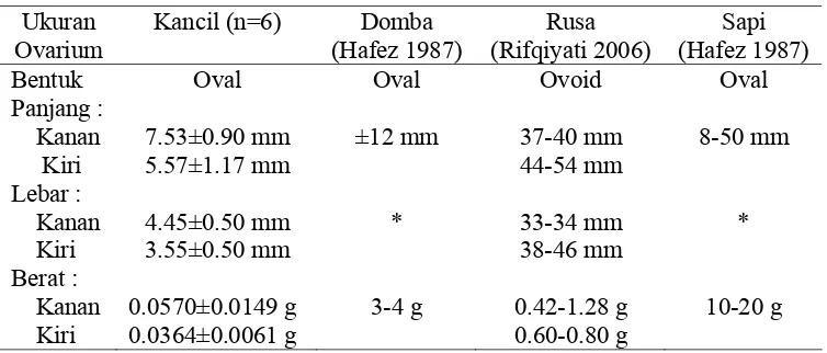 Tabel 2 Ukuran ovarium kancil, domba, rusa, dan sapi 