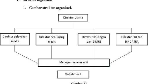 Gambar 3.1 Struktur organisasi rumah sakit PKU Muhammadiyah Bantul 