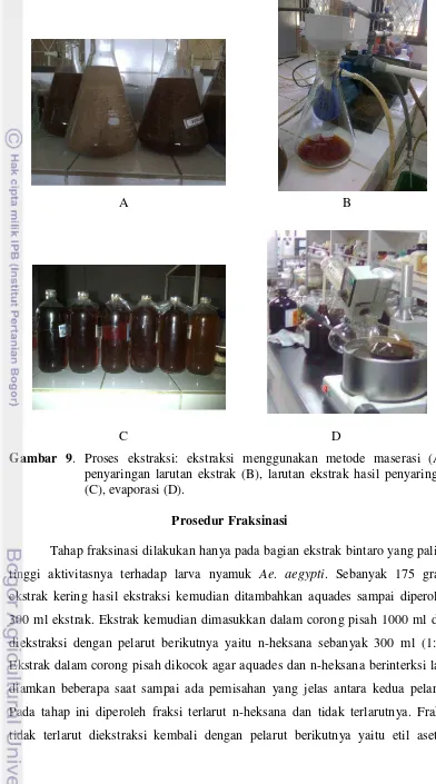 Gambar 9. Proses ekstraksi: ekstraksi menggunakan metode maserasi (A),   