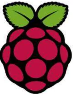 Gambar 3.2 Icon Raspberry Pi 