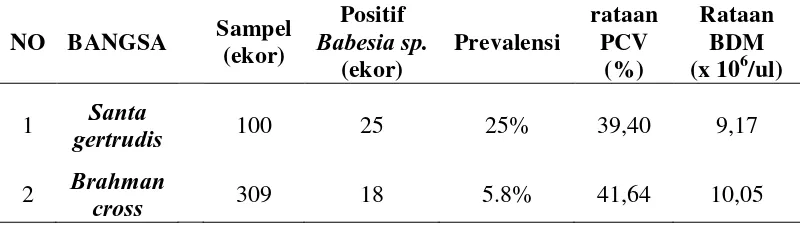 Tabel 7   Prevalensi babesiosis, nilai rata-rata PCV dan rata-rata jumlah butir                    darah  merah berdasarkan bangsa /ras