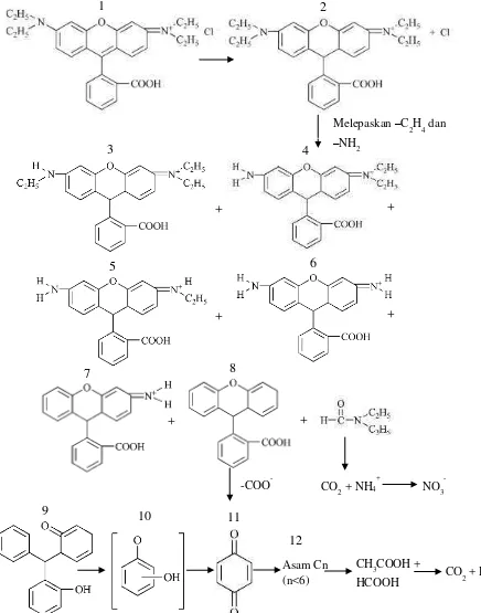 Gambar 2.9 Proses fotodegradasi rhodamin B (Yang dkk., 2003) 