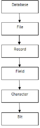 Gambar 2.6 Hirarki Basis Data 