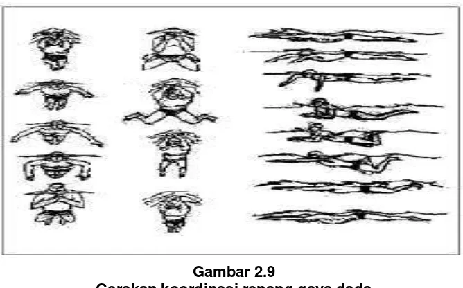 Gambar 2.9 Gerakan koordinasi renang gaya dada 