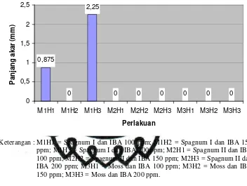 Gambar 6.  Histogram rata-rata panjang akar (mm) pada umur 8 MST dengan berbagai macam media dan konsentrasi IBA  
