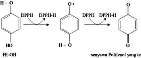 Gambar 4. Mekanisme peredaman radikal oleh senyawa fenolik   (Sumber: Cholisoh 2008) 