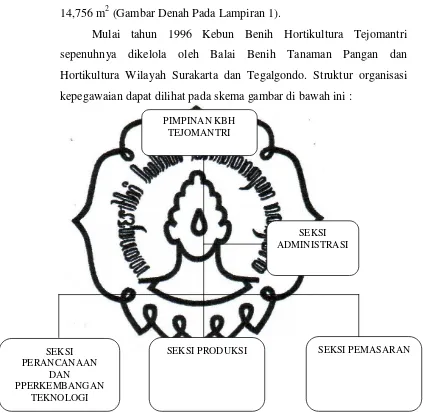 Gambar 1. Skema Struktur Organisasi KBH Tejomantri. 